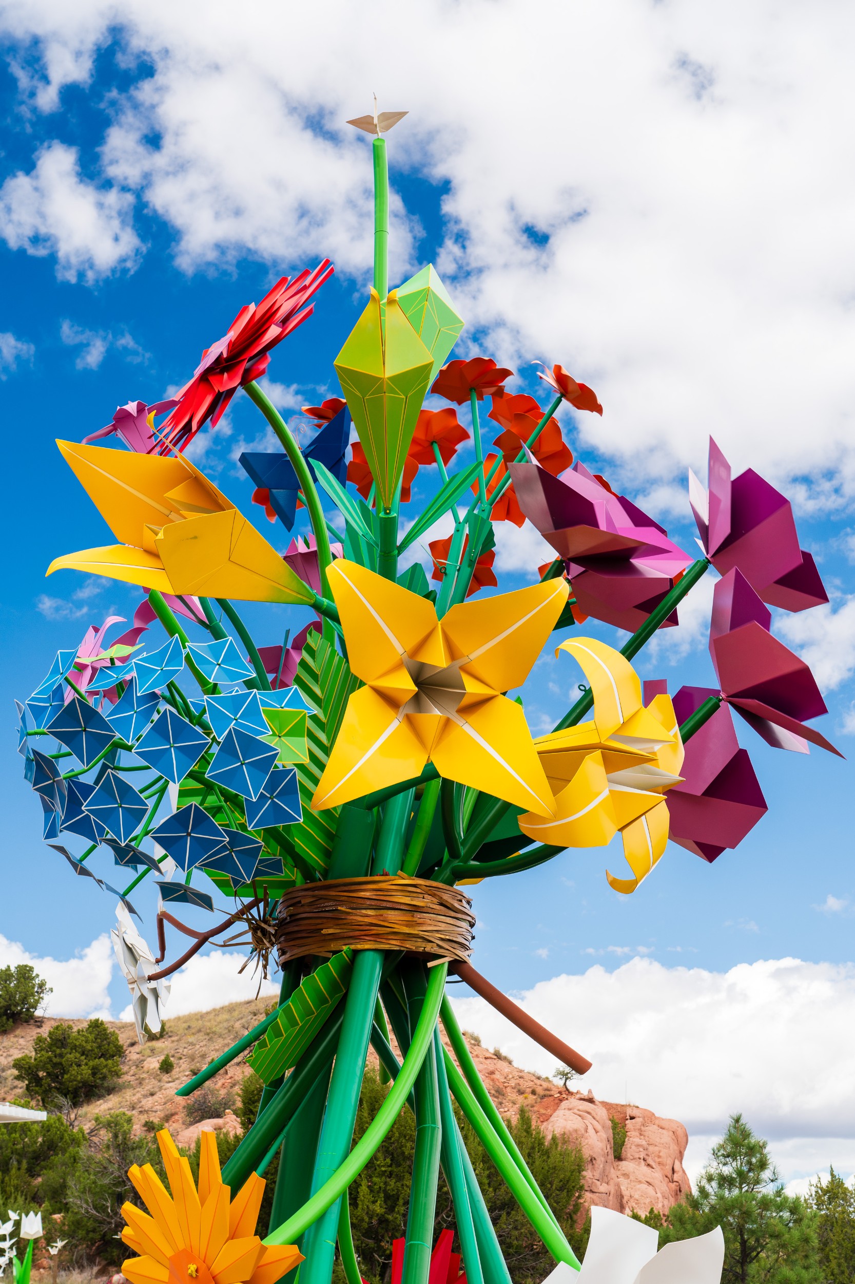 USA 2024 5 Sterne 48